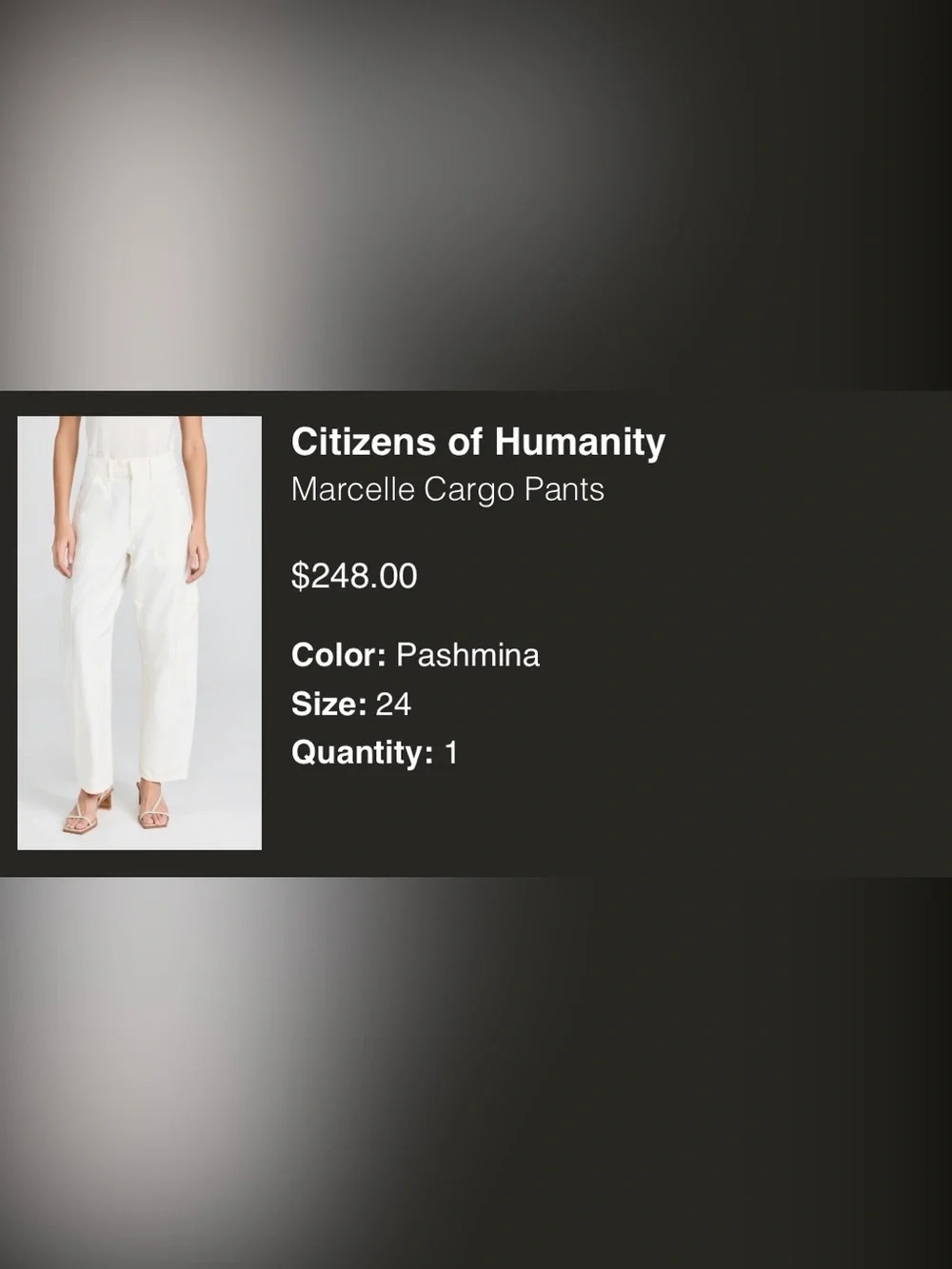 Citizens of Humanity Marcelle Cargo Pants Pashmina 24